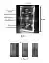 Fig. 02 - Primer set, method and kit for detecting pathogen in animals or plants