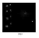 Fig. 03 - Method for determining DNA fragmentation in microorganisms