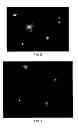 Fig. 04 - Method for determining DNA fragmentation in microorganisms