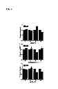 Fig. 07 - METHOD AND REAGENTS FOR TREATING HEPATIC FIBROSIS AND INFLAMMATION