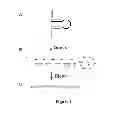 Fig. 02 - METHODS FOR QUANTIFYING MICRORNA PRECURSORS