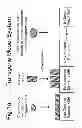 Fig. 02 - Sequence-specific extraction and analysis of DNA-bound proteins
