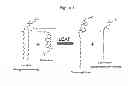 Fig. 02 - Detection of LCAT activity