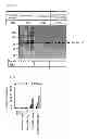 Fig. 03 - AGENT FOR MEASURING ENDOTOXIN