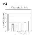 Fig. 09 - Method for screening for compound capable of enhancing or inhibiting OATP1B1 transport activity, and method for determining expression level of OATP1B1