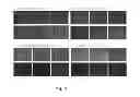 Fig. 02 - Yeast concentration and viability measurement