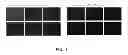Fig. 04 - Yeast concentration and viability measurement