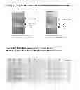 Fig. 14 - Activated Sugars