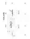 Fig. 09 - METHOD FOR INCREASING THE REPLICATION CAPACITY OF AN INFLUENZA VIRUS IN CULTURED CELLS