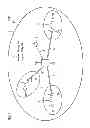 Fig. 02 - Method for providing the identity of an apparatus in a communications network and apparatus thereof