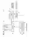 Fig. 09 - Method and apparatus of wireless communication by using multiple directional antennas