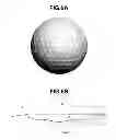 Fig. 06 - Golf ball
