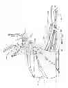 Fig. 07 - Elliptical Exercise Device with Vibration Capabilities