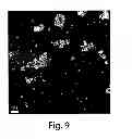 Fig. 09 - Methods for preparing purified lipopeptides