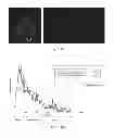Fig. 06 - Methods For Characterizing And Isolating Circulating Tumor Cell Subpopulations