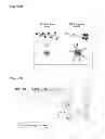 Fig. 02 - METHODS AND COMPOSITIONS FOR MODULATING DRUG-POLYMER ARCHITECTURE, PHARMACOKINETICS AND BIODISTRIBUTION