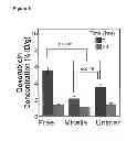 Fig. 09 - METHODS AND COMPOSITIONS FOR MODULATING DRUG-POLYMER ARCHITECTURE, PHARMACOKINETICS AND BIODISTRIBUTION