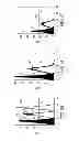 Fig. 04 - Chimeric immunoreceptor useful in treating human cancers