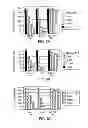 Fig. 08 - Chimeric immunoreceptor useful in treating human cancers