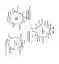 Fig. 12 - Chimeric immunoreceptor useful in treating human cancers