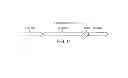 Fig. 16 - Chimeric immunoreceptor useful in treating human cancers