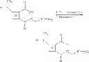 Fig. 08 - Glycopeptide phosphonate derivatives