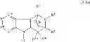 Fig. 23 - Bridged heterocyclic compounds and methods of use