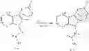 Fig. 273 - Bridged heterocyclic compounds and methods of use