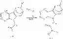 Fig. 274 - Bridged heterocyclic compounds and methods of use