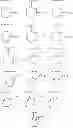 Fig. 62 - Bridged heterocyclic compounds and methods of use