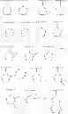 Fig. 75 - Bridged heterocyclic compounds and methods of use
