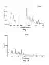 Fig. 07 - Polymorphic forms of 1-[4-(5-cyanoindol-3-yl)butyl]-4-(2-carbamoylbenzofuran-5-yl) piperazine hydrochloride