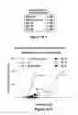 Fig. 02 - (2S,3R)-N-(2((3-pyridinyl)methyl)-1-azabicyclo[2.2.2]oct-3-yl)benzofuran-2-carboxamide novel salt forms, and methods of use thereof