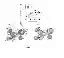 Fig. 07 - METHODS FOR INDUCING MITOCHONDRIAL BIOGENESIS