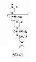 Fig. 02 - Methods for treating progeroid laminopathies using oligonucleotide analogues targeting human LMNA