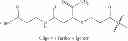 Fig. 136 - Methods for treating progeroid laminopathies using oligonucleotide analogues targeting human LMNA