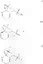 Fig. 28 - Methods for treating progeroid laminopathies using oligonucleotide analogues targeting human LMNA