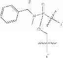 Fig. 47 - Methods for treating progeroid laminopathies using oligonucleotide analogues targeting human LMNA