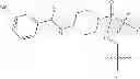 Fig. 52 - Methods for treating progeroid laminopathies using oligonucleotide analogues targeting human LMNA