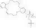 Fig. 64 - Methods for treating progeroid laminopathies using oligonucleotide analogues targeting human LMNA