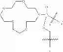 Fig. 69 - Methods for treating progeroid laminopathies using oligonucleotide analogues targeting human LMNA