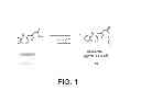 Fig. 02 - Process for the preparation of olopatadine