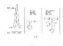 Fig. 02 - Polymer electrolyte membrane chemically bonded with ionic liquid and fuel cell using the same