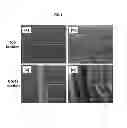 Fig. 06 - Three-dimensional nanofiber scaffold for tissue repair and preparation method thereof
