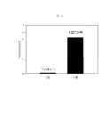 Fig. 07 - Three-dimensional nanofiber scaffold for tissue repair and preparation method thereof
