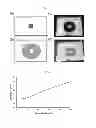 Fig. 02 - Screening processes, conducting polymers, and electrochromic devices based on diffusional gradients