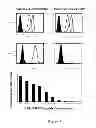 Fig. 04 - HLA-restricted, peptide-specific antigen binding proteins