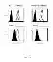 Fig. 05 - HLA-restricted, peptide-specific antigen binding proteins