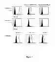 Fig. 06 - HLA-restricted, peptide-specific antigen binding proteins