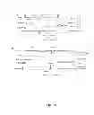 Fig. 08 - HLA-restricted, peptide-specific antigen binding proteins